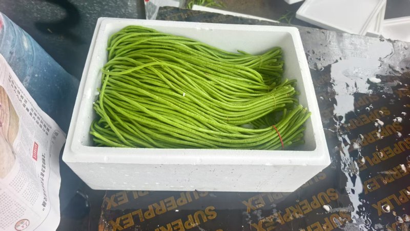【实力推荐】河南开封精品长豆角产地直销可对接各大市场