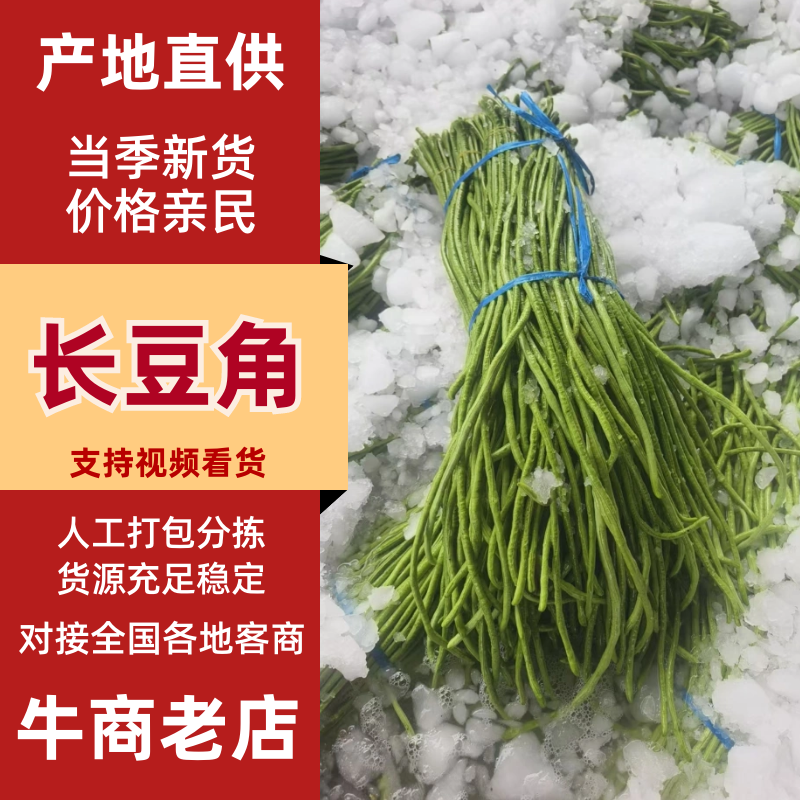 【实力推荐】河南开封精品长豆角产地直销可对接各大市场