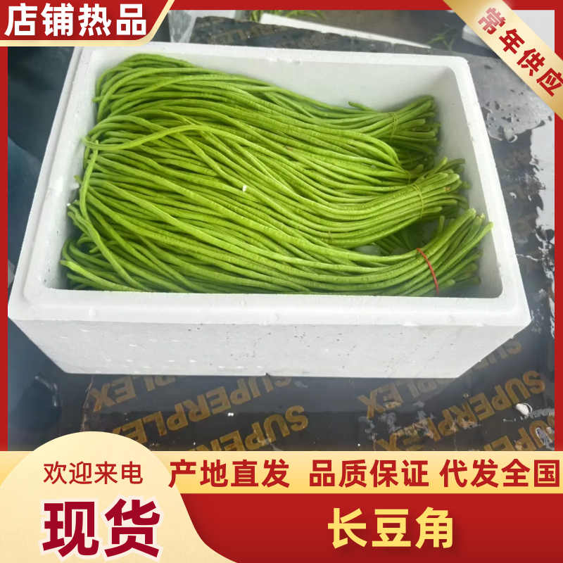 【实力推荐】河南开封精品长豆角产地直销可对接各大市场