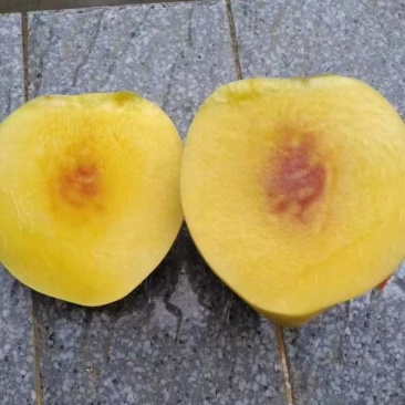 精品黄桃