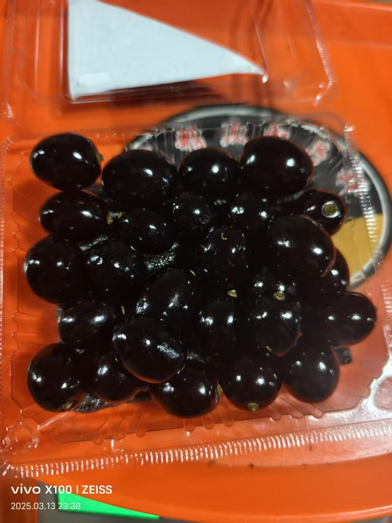 黑珍珠无籽葡萄大量供应对接全国客户价格优惠欢迎来电