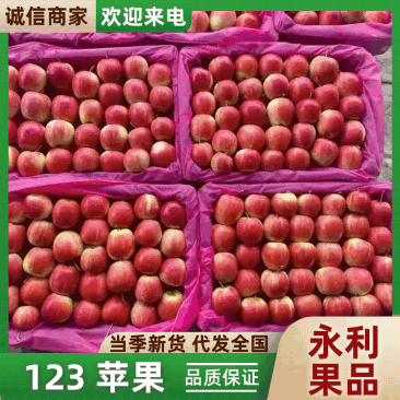 123苹果K9小苹果产地直发一手货源质量保证价格优惠