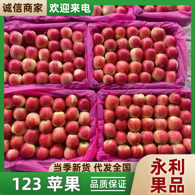 123苹果K9小苹果产地直发一手货源质量保证价格优惠