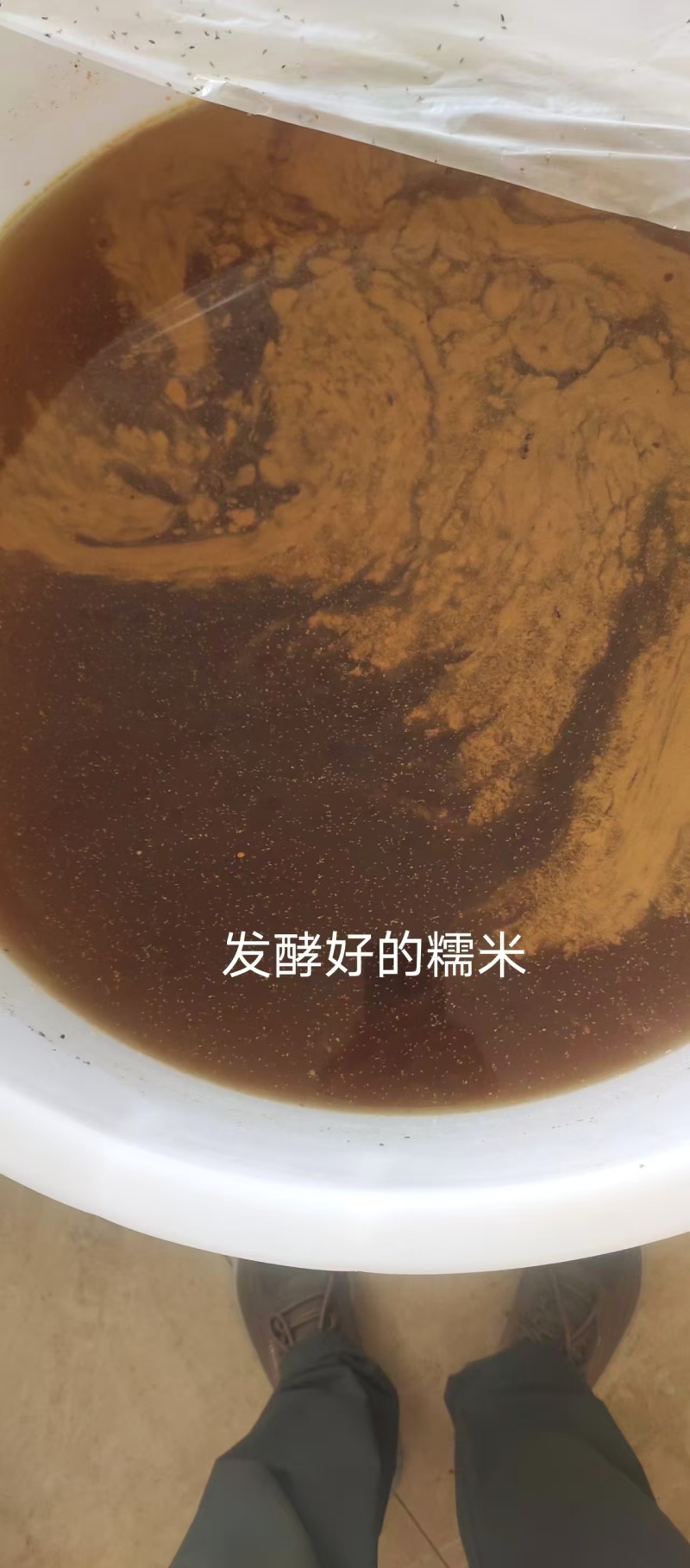 精品五酿品质保证服务周到产地直发