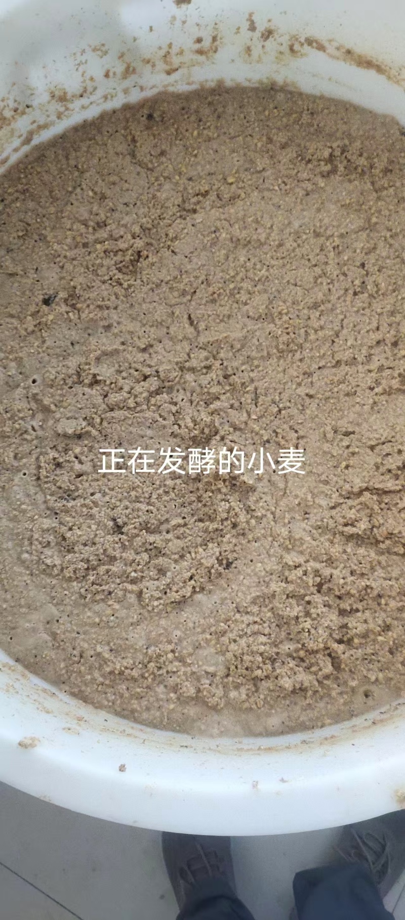 五酿品质保证服务周到产地直发欢迎联系