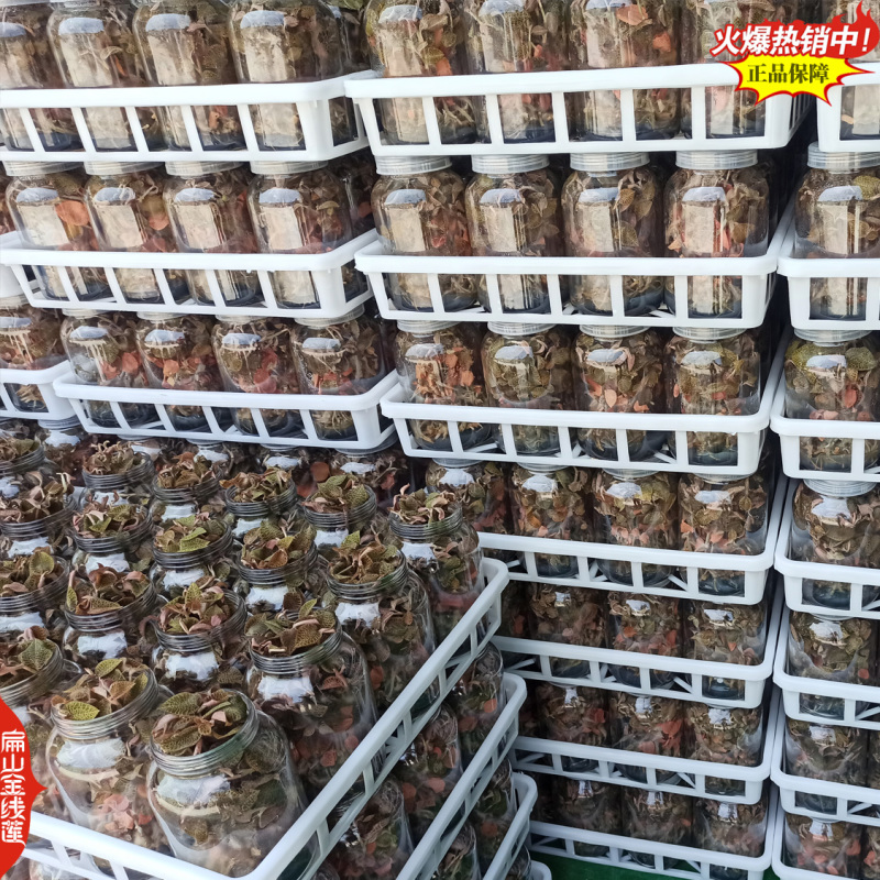 福建纯叶整珠金线莲干品林下干货厂家价格进货渠道25