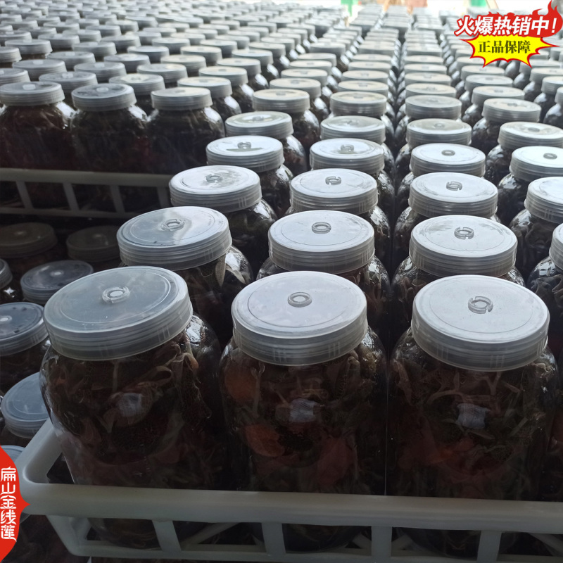 可食用新鲜福建金线莲干品红霞金线莲干货500G-1千克