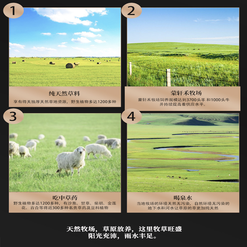 蒙轩禾有机牛肋排（原切）