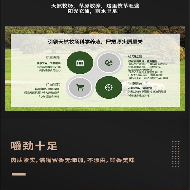 蒙轩禾肚包肉（调理）