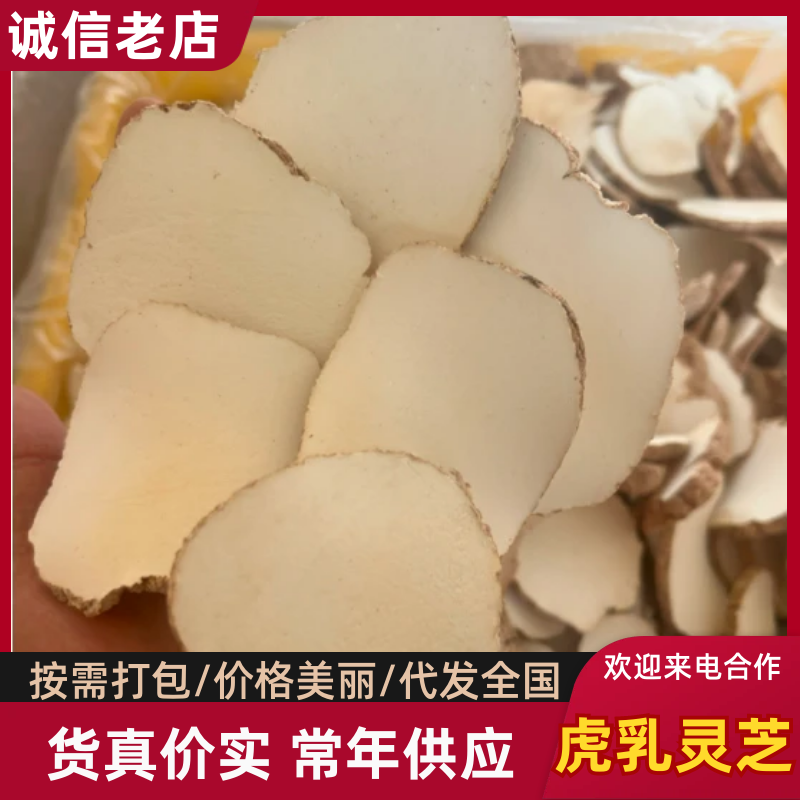精品中药材虎乳灵芝虎乳菌虎奶菌大量现货