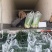 平顶山四季小香葱正有货接批发商超社区团购可以现场挑货满意为止