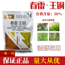 50%春雷王铜柑橘溃疡病穿孔病角斑病青枯病细菌性病害杀菌