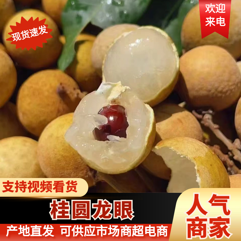 广西桂圆龙眼/石硖龙眼/规格齐全/可视频看货/价格可谈