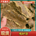 【棉籽饼】山东菏泽压榨棉籽饼色泽棕黄产地直销量大从优
