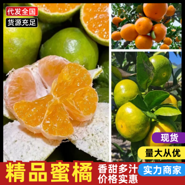 【实力】蜜橘湖北宜昌蜜橘湖北柑桔皮薄多汁量大优惠