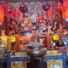王高峰的一亩田店铺