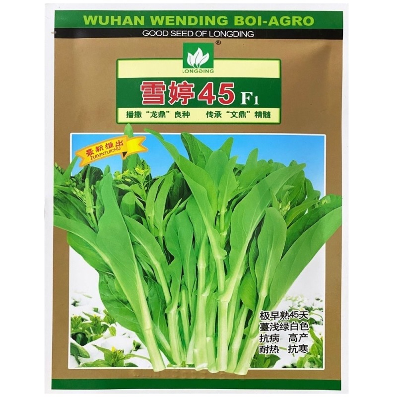 【高产耐热】特惠雪婷45天白菜苔种子极早熟白菜苔籽抗病耐