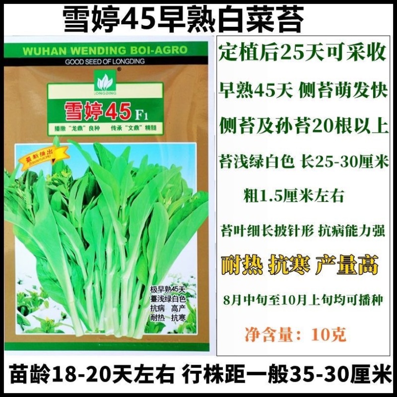 【高产耐热】特惠雪婷45天白菜苔种子极早熟白菜苔籽抗病耐