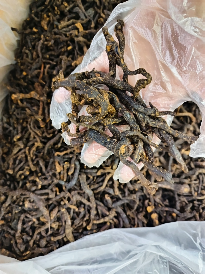 小玉竹制玉竹九蒸晒小玉竹批发代发