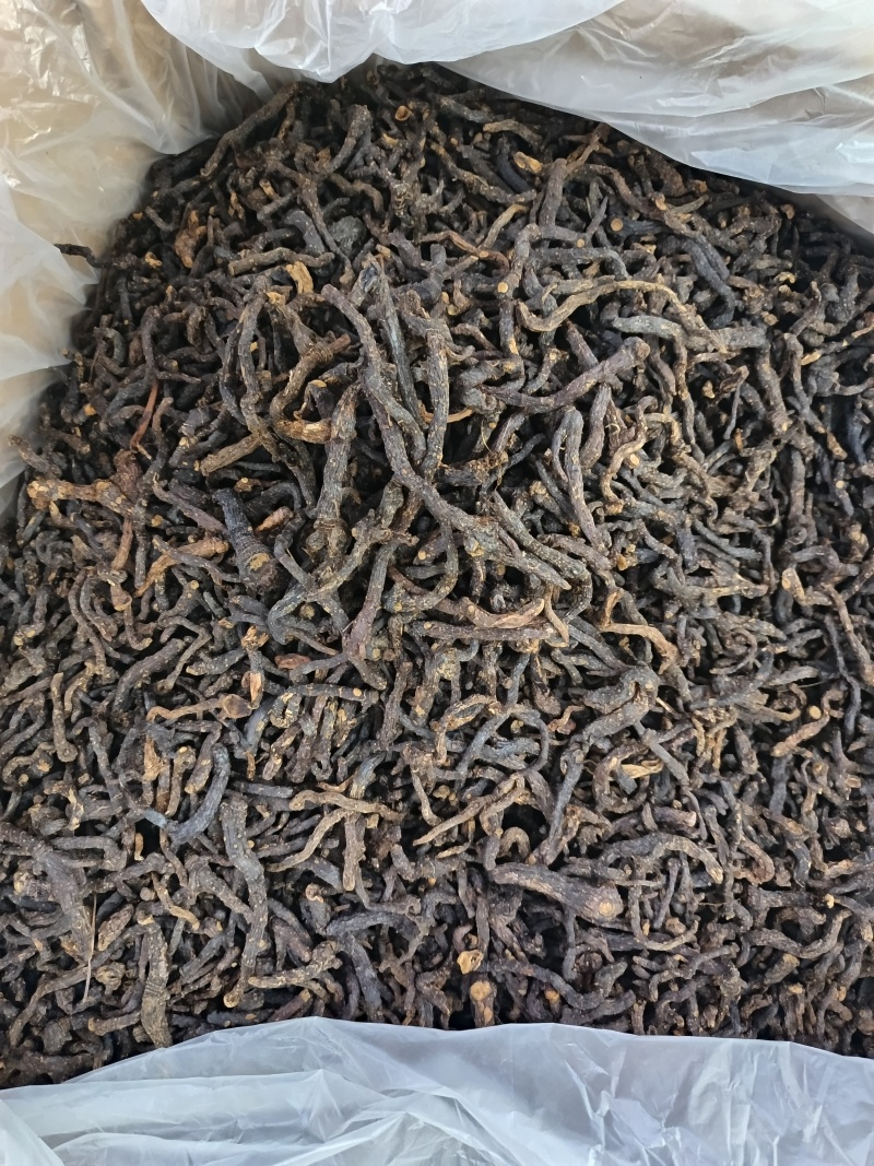 小玉竹制玉竹九蒸晒小玉竹批发代发
