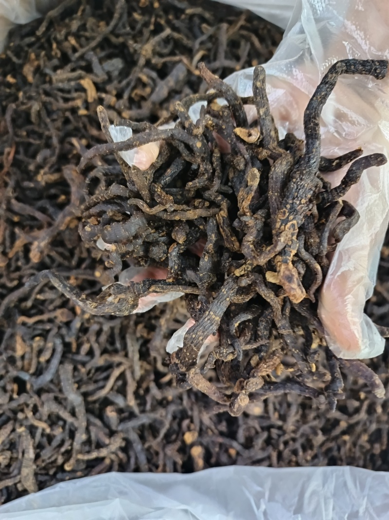 小玉竹制玉竹九蒸晒小玉竹批发代发
