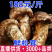 鲜松茸2025年香格里拉新鲜松茸现货批发顺丰冷链空运包邮