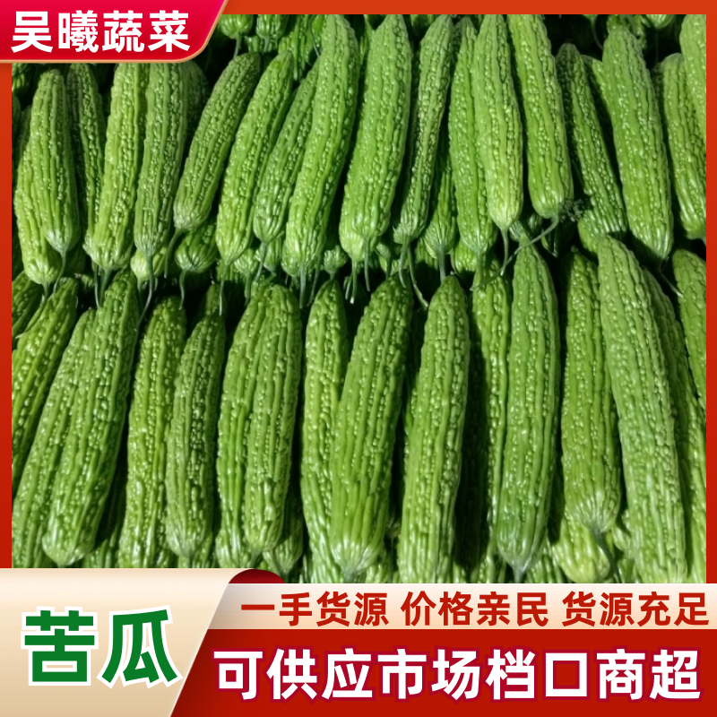 河南苦瓜油绿苦瓜焦作苦瓜博爱苦瓜产地直发量大