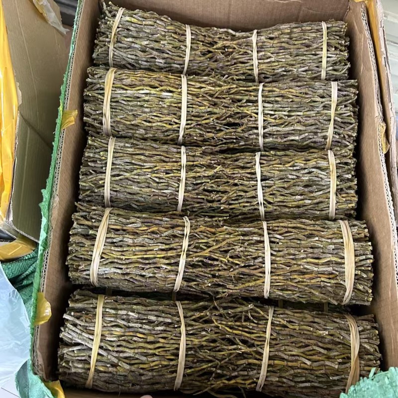 云南铁皮石斛干条石斛条石斛理条石斛条批发代发