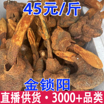 续阳草金锁阳顶天住云南山货批发锁阳锁阳