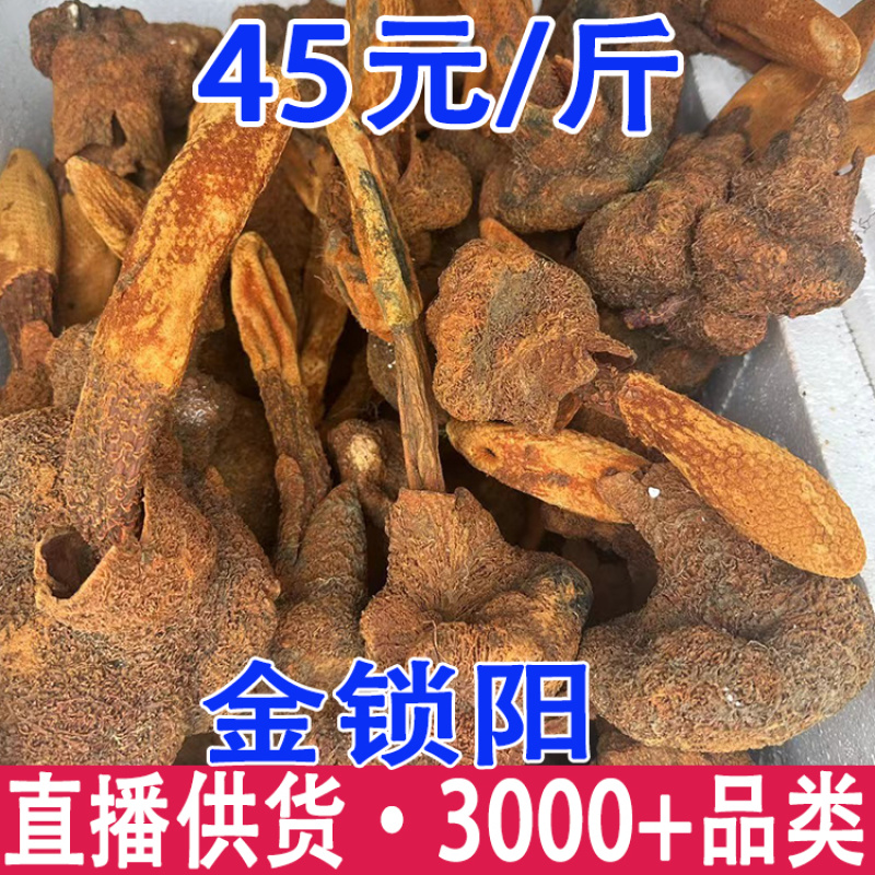 续阳草金锁阳顶天住云南山货批发锁阳锁阳