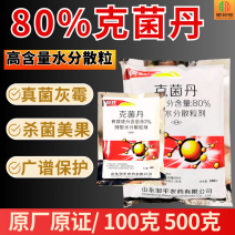 80%克菌丹杀菌剂草莓灰霉病果树真菌保护农药杀菌美果