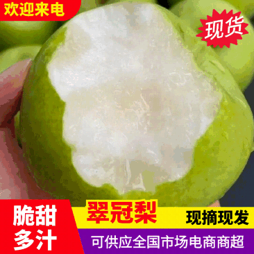 热卖中宁陵翠冠梨花皮甜脆多汁实力代发全国商超批发市场