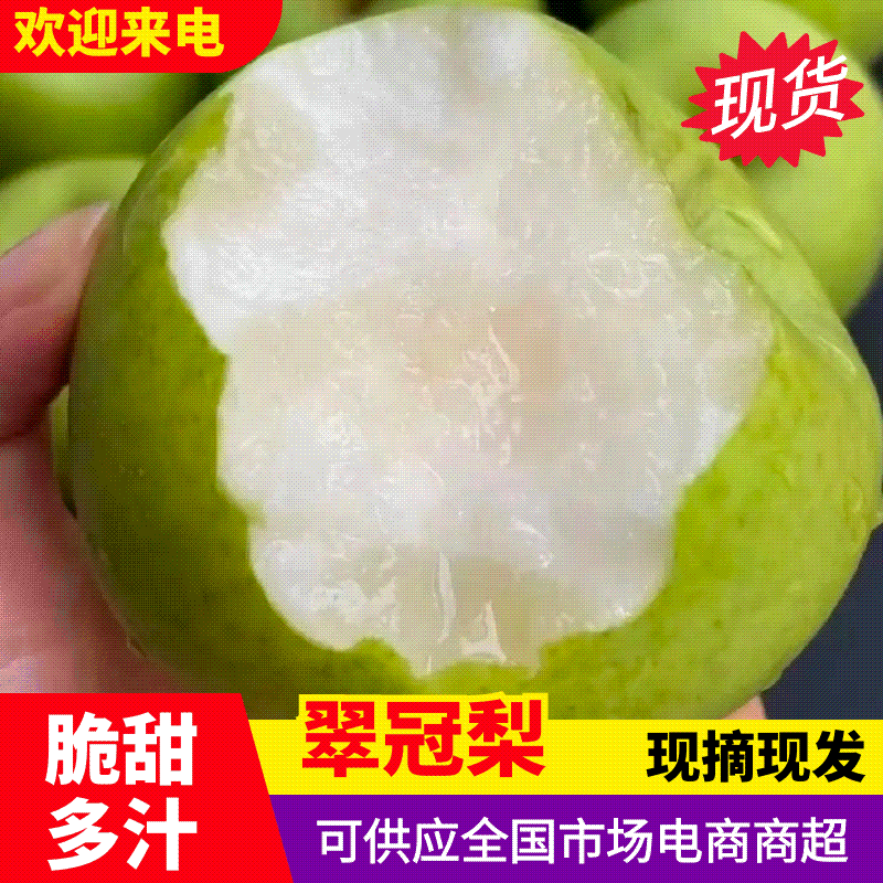 热卖中宁陵翠冠梨花皮甜脆多汁实力代发全国商超批发市场