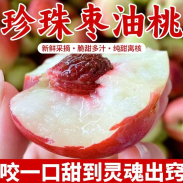 珍珠枣油桃秋里红油桃离核枣味小桃子白心油桃