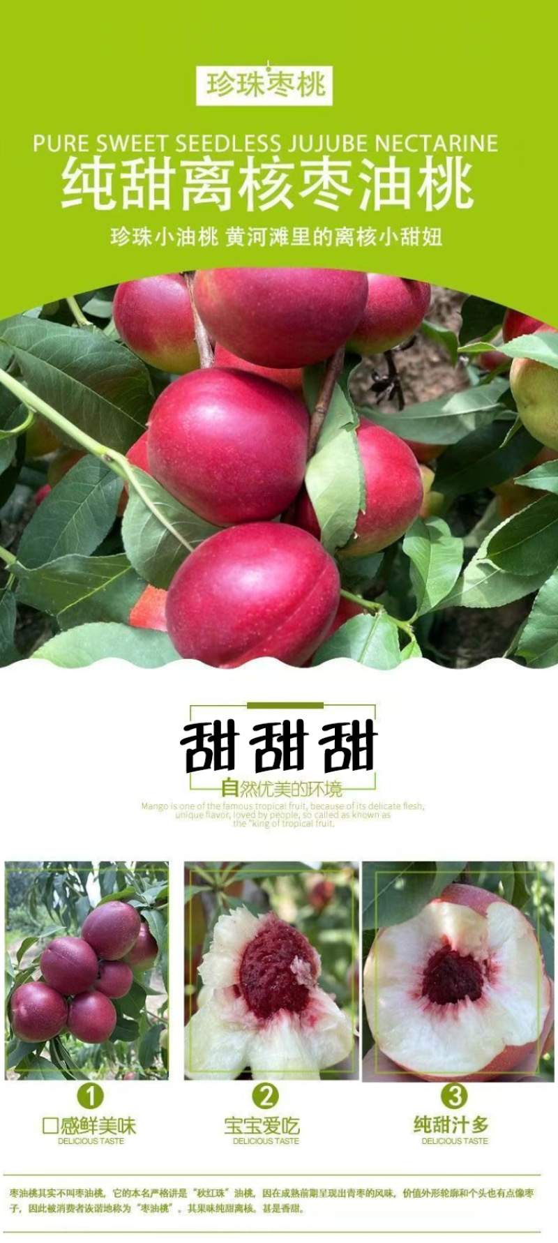 珍珠枣油桃秋里红油桃离核枣味小桃子白心油桃
