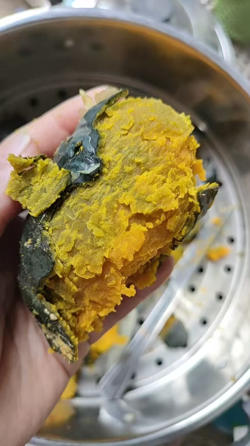 贝贝南瓜