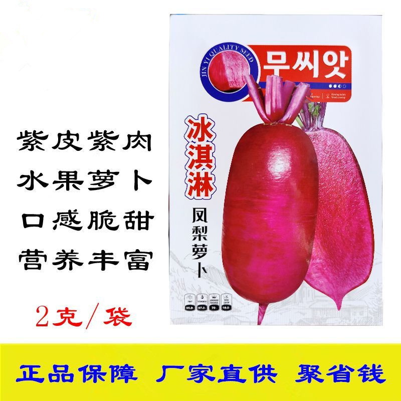 冰淇淋凤梨萝卜种子紫皮紫肉水果萝卜品种口感脆甜无辣味