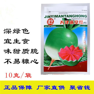 天津满堂红萝卜种子蔬菜种子味甜质脆瓤宜生食萝卜种子