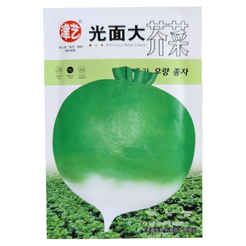 光面大芥菜种子圆锥形芥菜疙瘩菜种子蔬菜种子