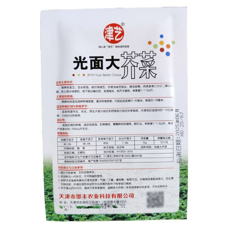 光面大芥菜种子圆锥形芥菜疙瘩菜种子蔬菜种子