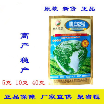 杨凌高科秦白2号大白菜种子秋白菜好吃个大美味基地种植