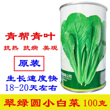 翠绿园青梗快菜种子100g不结球青梗无毛小白菜苗小白菜种