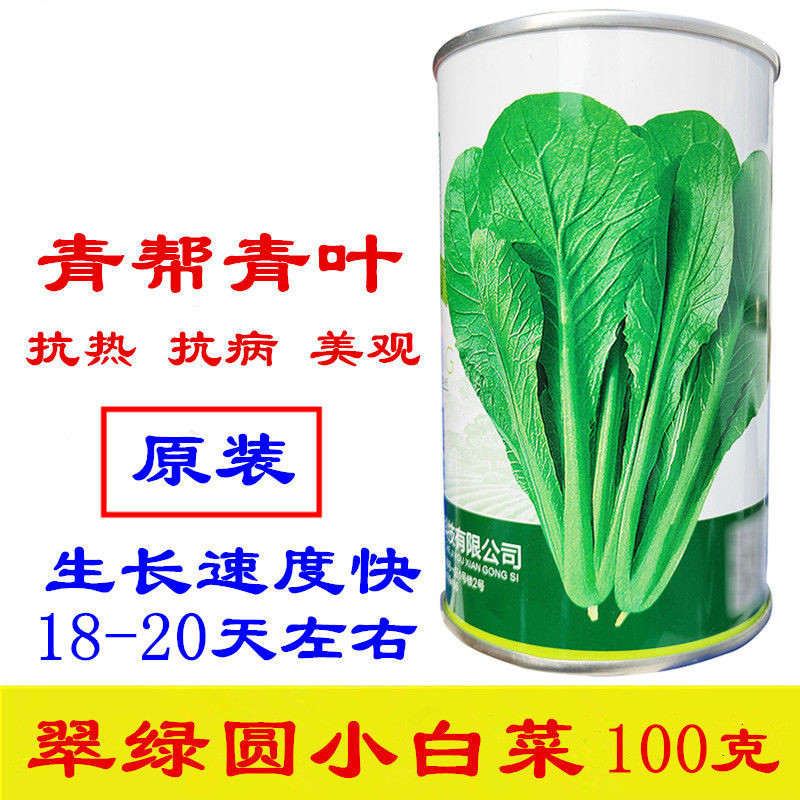 翠绿园青梗快菜种子100g不结球青梗无毛小白菜苗小白菜种