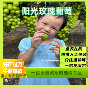 【热卖】四川凉山精品阳光玫瑰葡萄产地直发货包邮顺丰电商