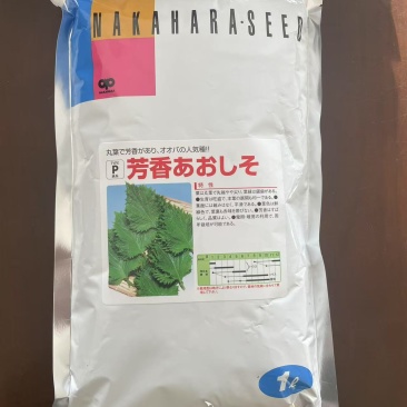 日本绿苏种子芳香蓝元素进口平叶紫苏种子原装正品500克