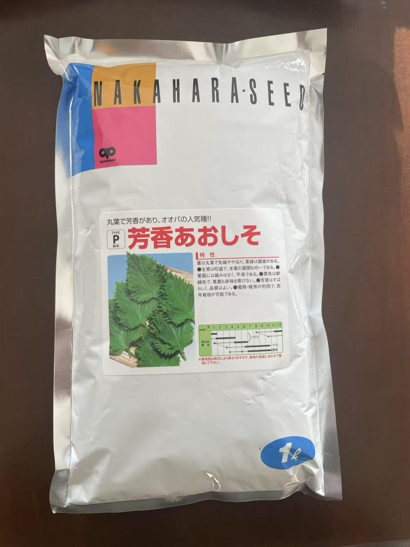 日本绿苏种子芳香蓝元素进口平叶紫苏种子原装正品500克