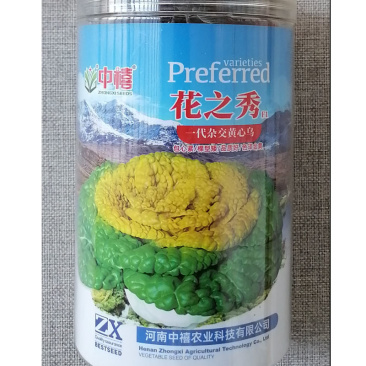 花之杂交黄心乌种子矮颗早熟黄心菜种籽耐寒黄金叶乌塌菜种子