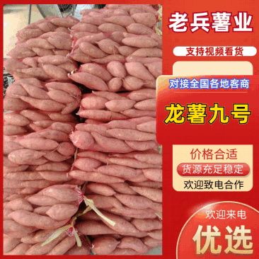 河北龙薯小红薯批发，货源充足，量大优惠，支持各种包装