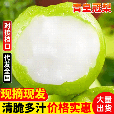 砀山青黄冠梨，皇冠梨皮薄脆甜，耐运输，产地大量供应代发全国