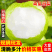 砀山青黄冠梨，皇冠梨皮薄脆甜，耐运输，产地大量供应代发全国